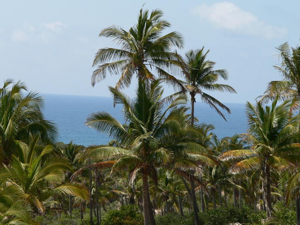 Blue Moon Beach Holiday Resort Inhambane Camera foto