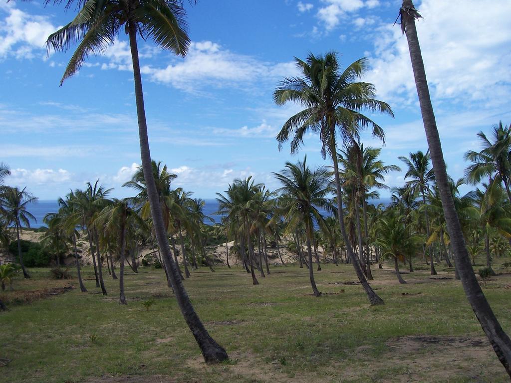Blue Moon Beach Holiday Resort Inhambane Camera foto